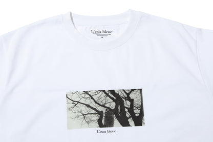 【新作】Cotton Silky Touch Jersey Printed Big T-Shirt  -プリント入りビッグTシャツ-