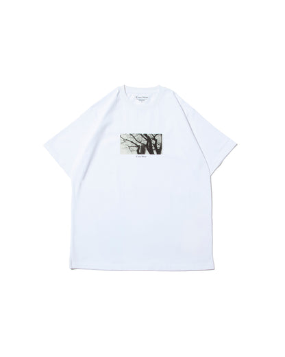 【新作】Cotton Silky Touch Jersey Printed Big T-Shirt  -プリント入りビッグTシャツ-