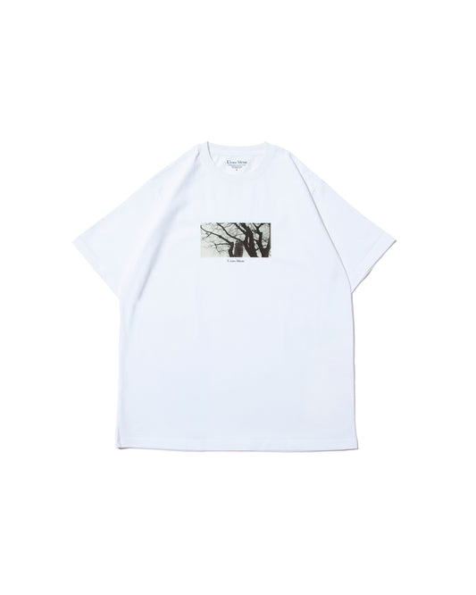 Cotton Silky Touch Jersey Printed Big T-Shirt